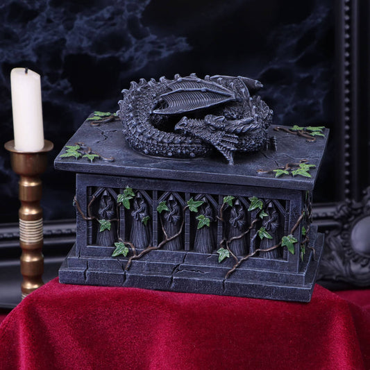 Dragon Storage Box